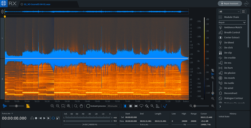 Izotope Rx Advanced Audio Editor